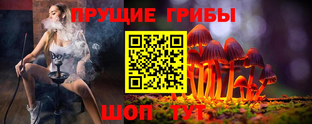 Сергиев Посад  Галлюциногенные грибы MAGIC MUSHROOMS  Галлюциногенные грибы Psilocybine cubensis  Вход с VPN 